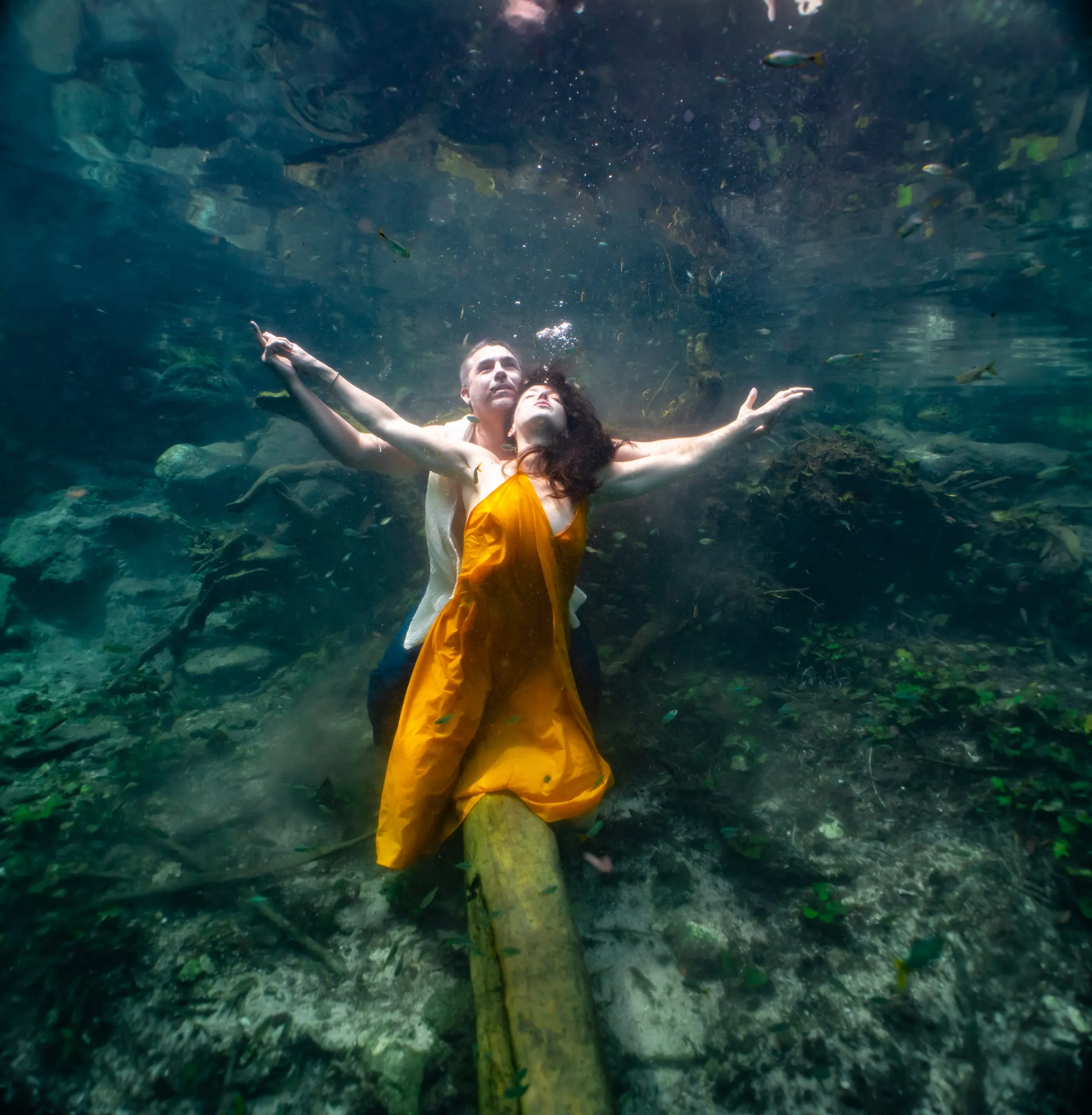 Underwater fine art photograph 18
