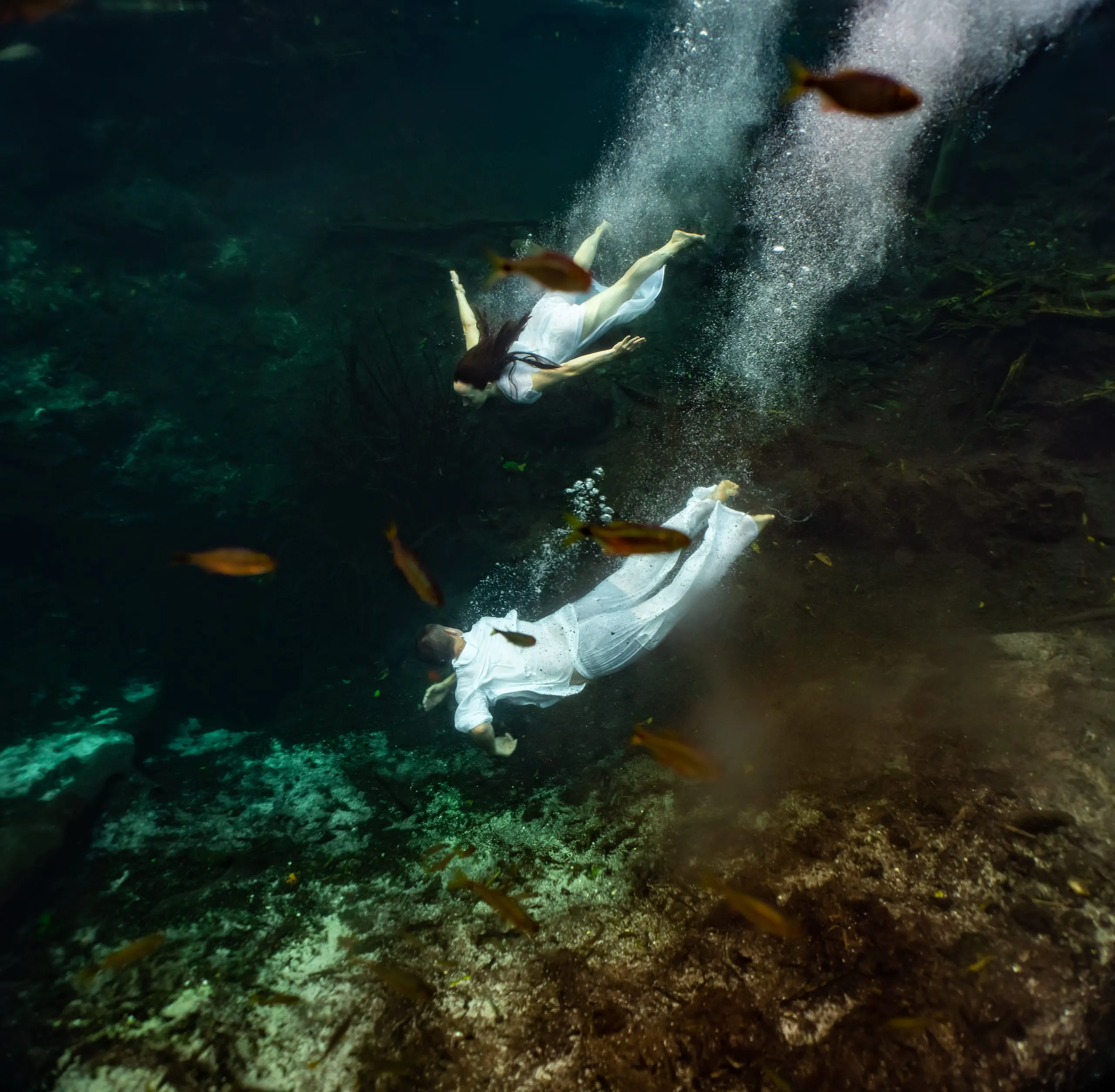 Underwater fine art photograph 19