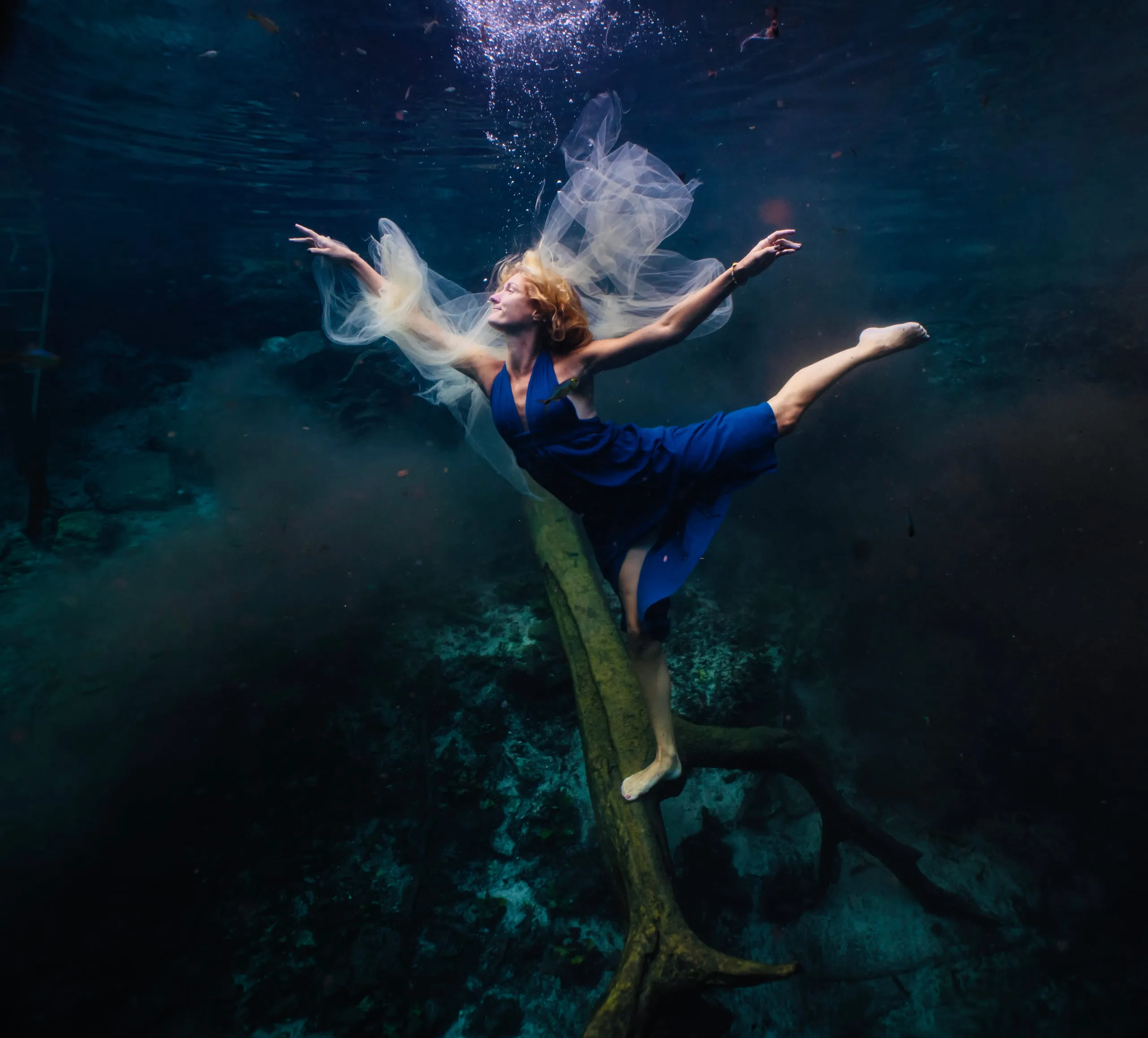 Underwater fine art photograph 46