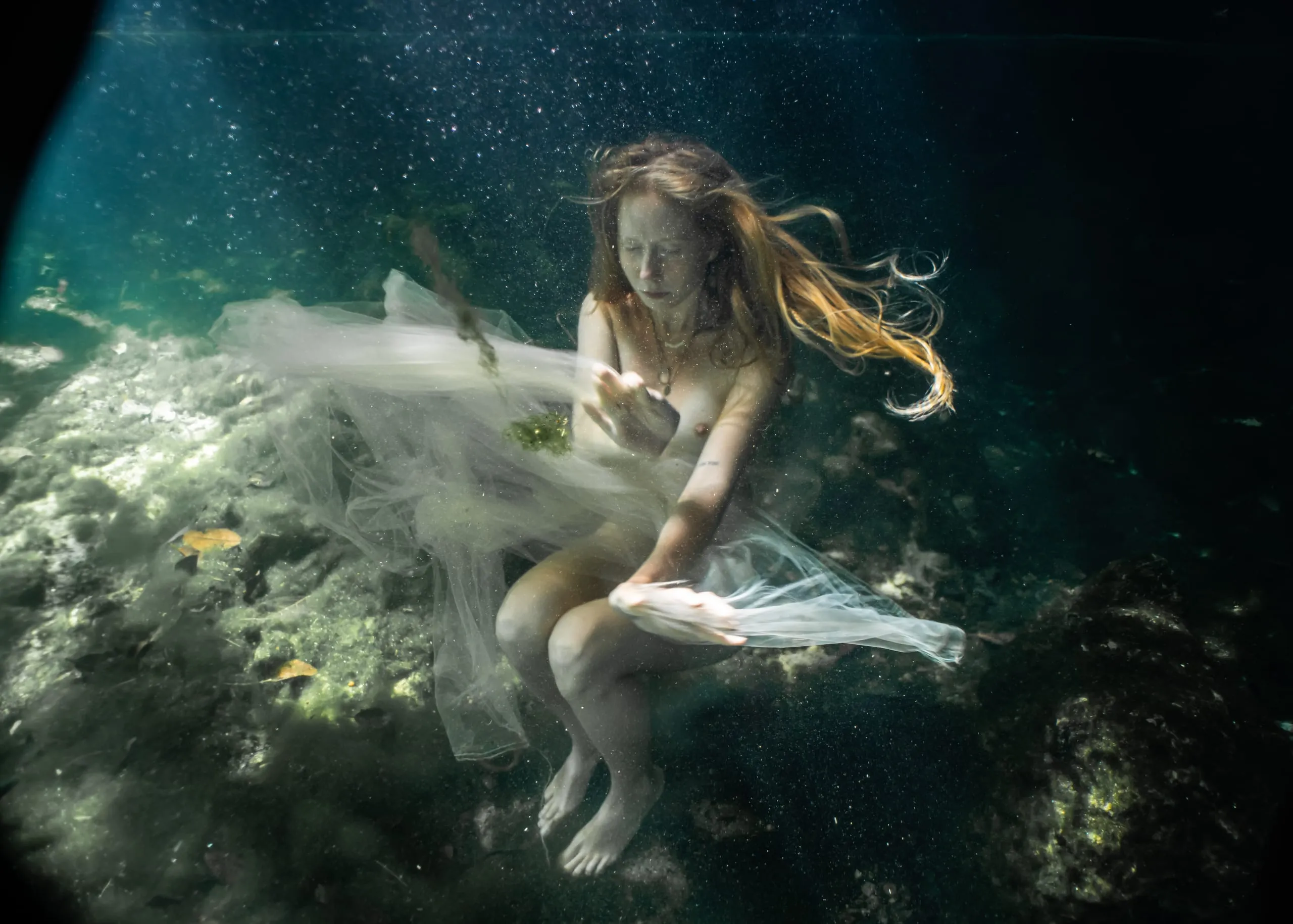 Underwater fine art photograph 61