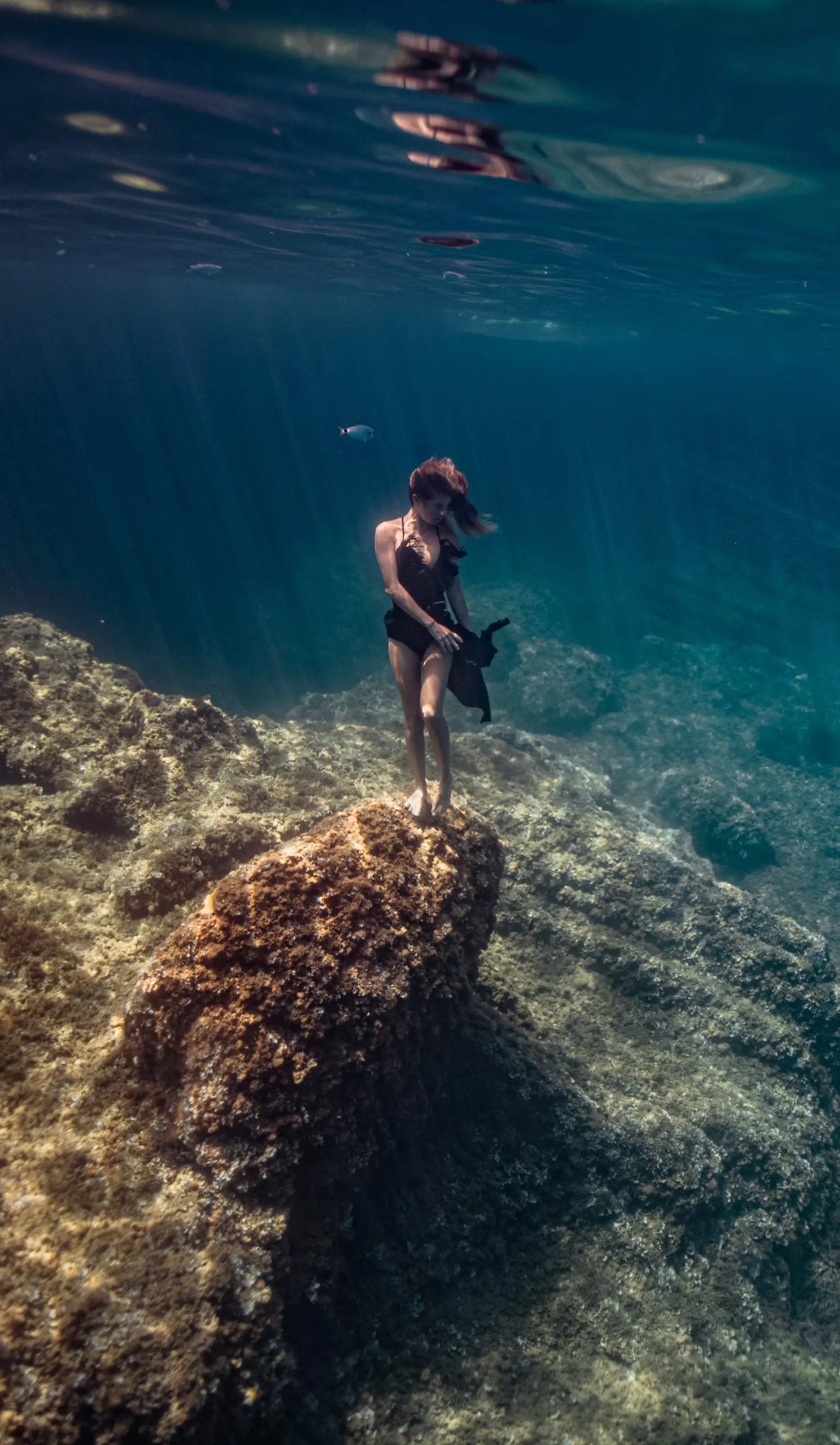 Underwater fine art photograph 74