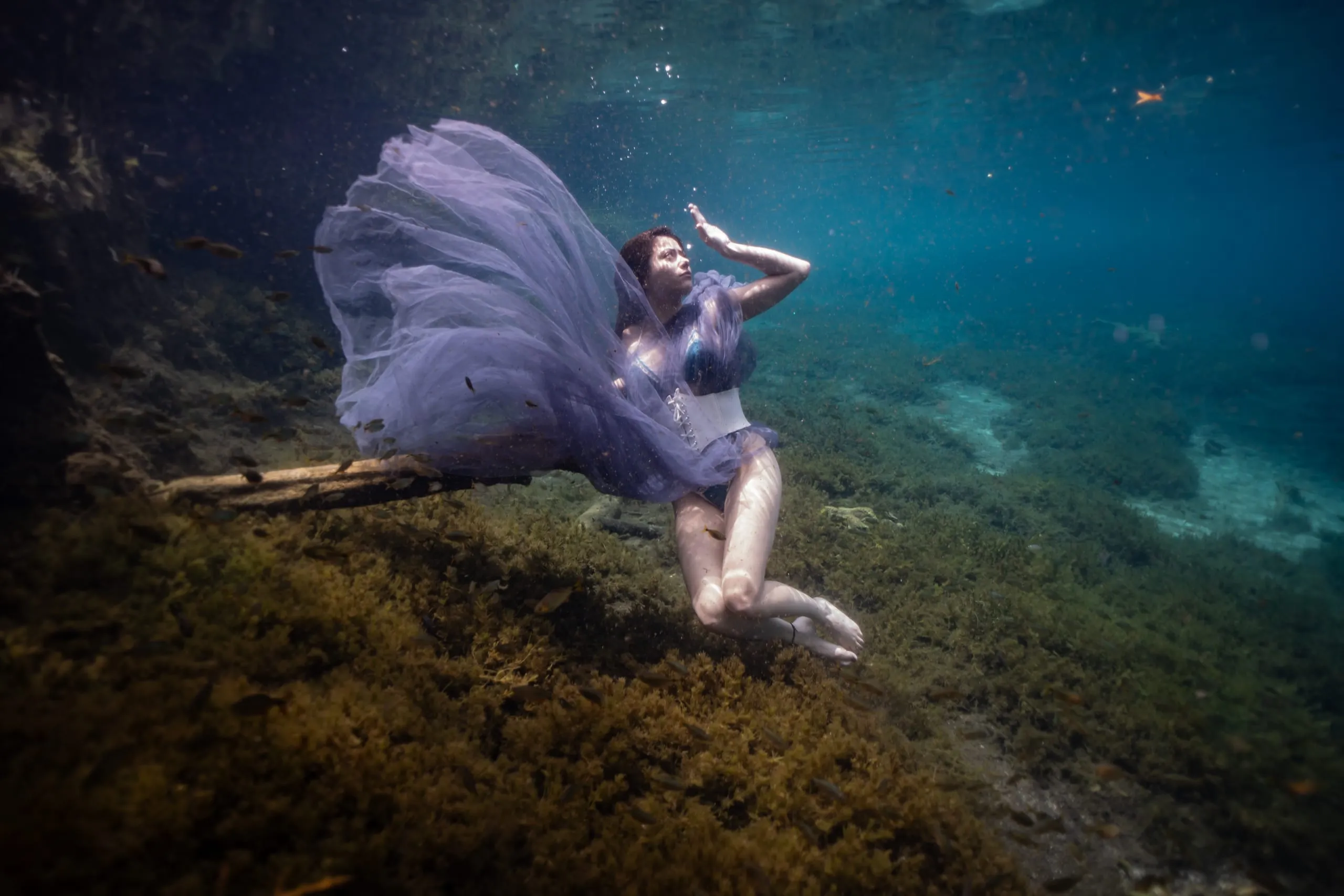 Underwater fine art photograph 81