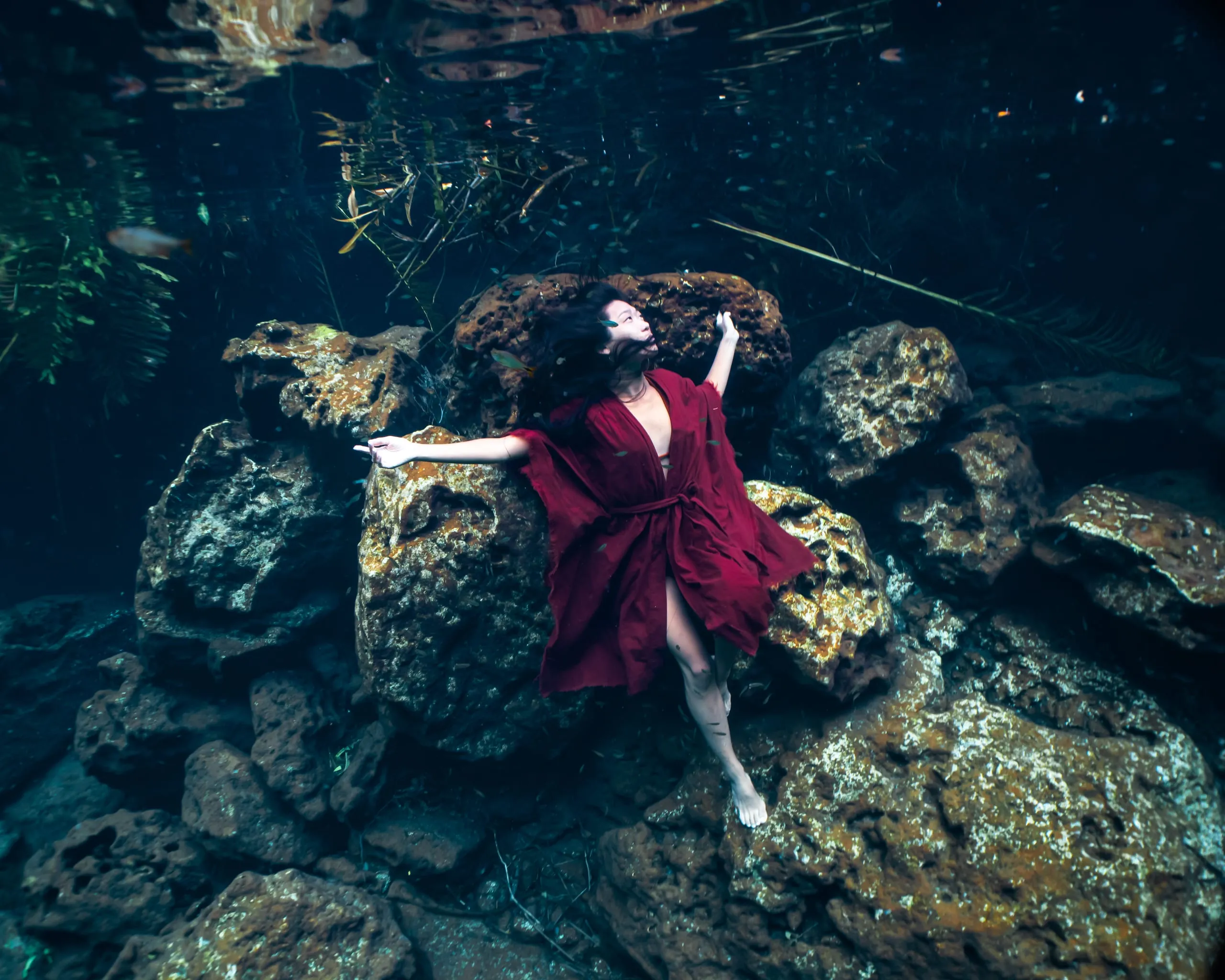 Underwater fine art photograph 82