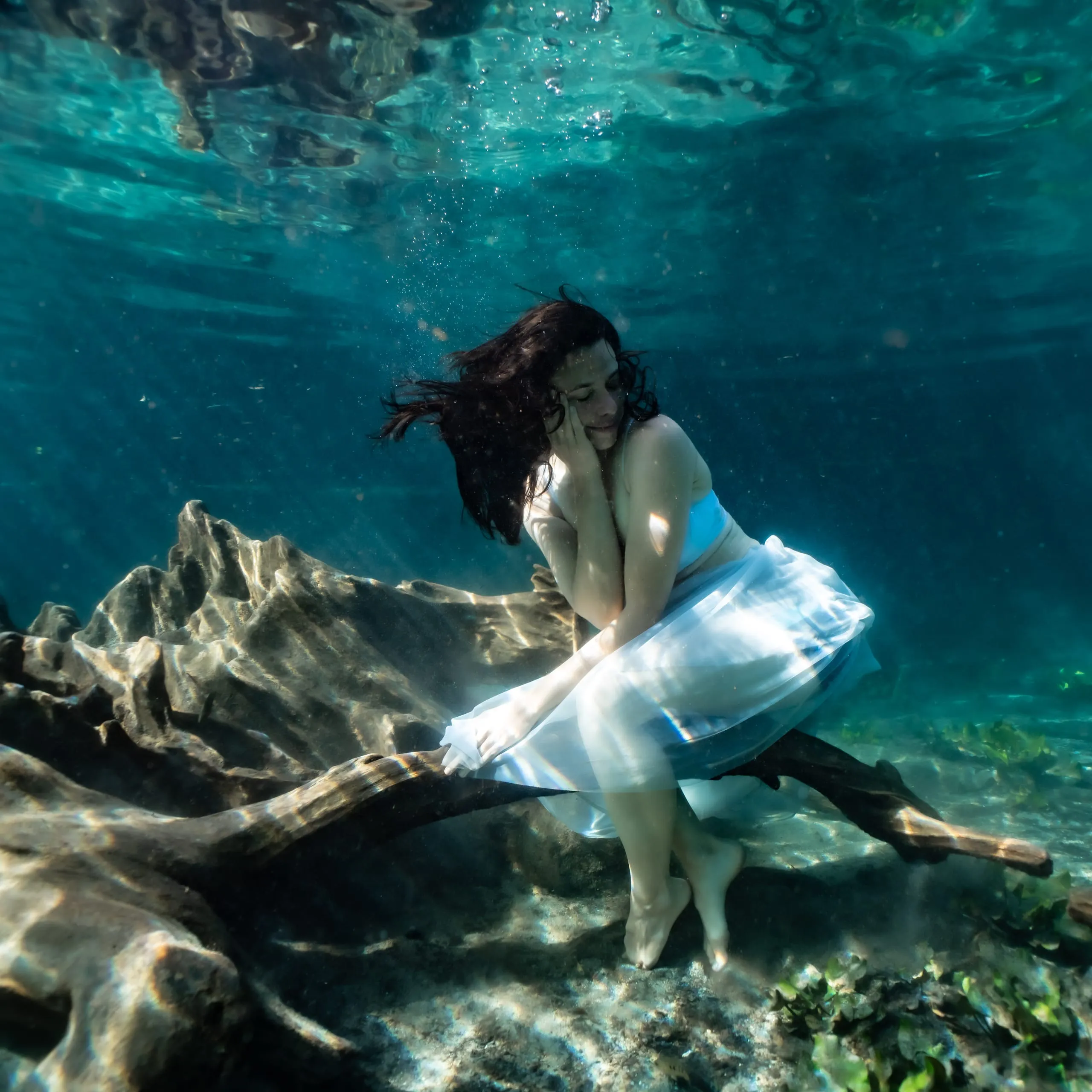 Underwater fine art photograph 91