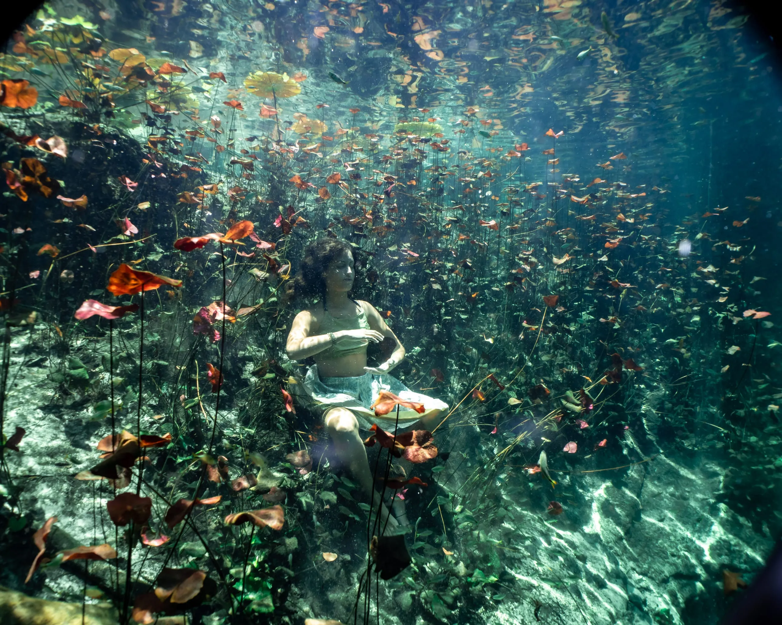 Underwater fine art photograph 95