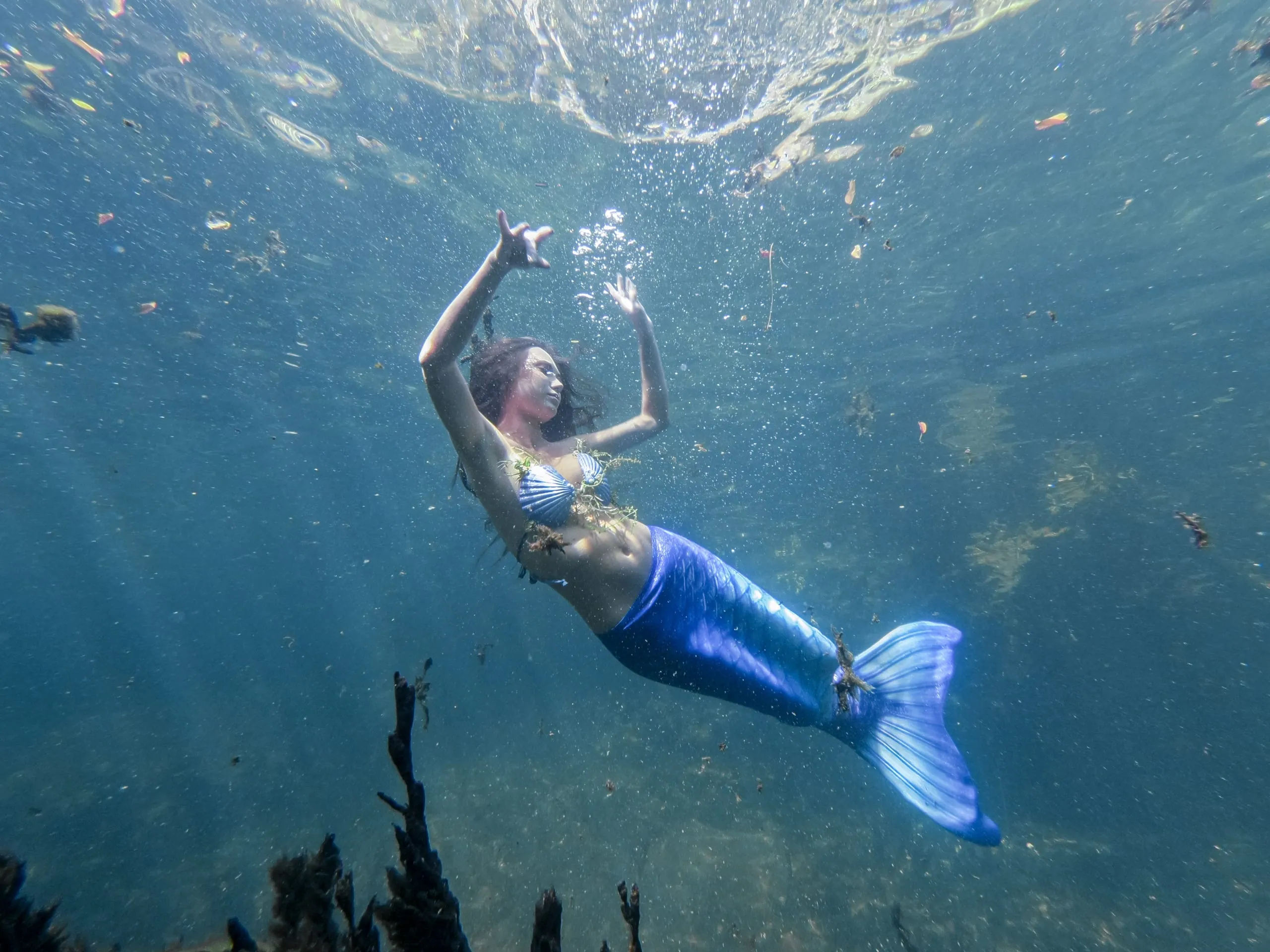 Underwater fine art photograph 97