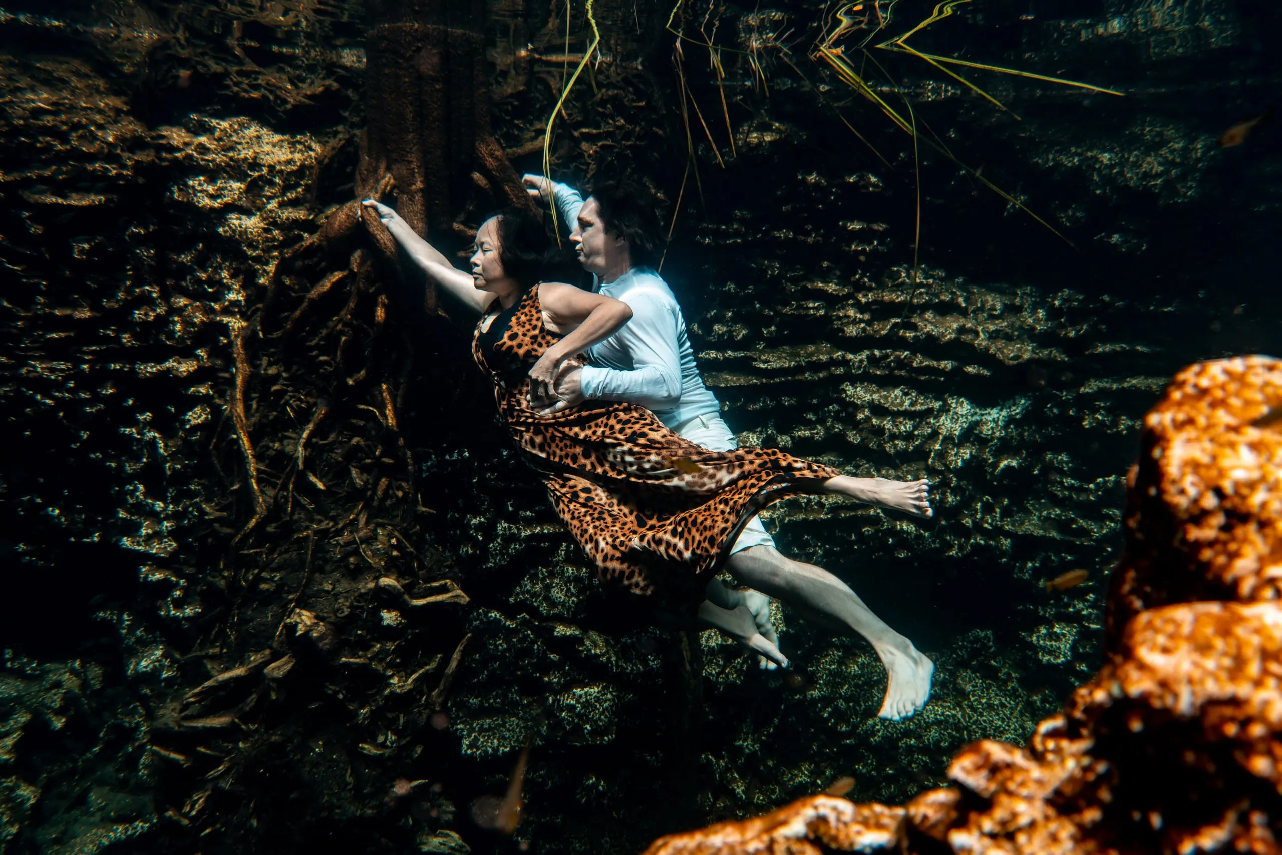 Underwater fine art photograph 116